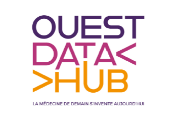 logo ouest data hub rectangle